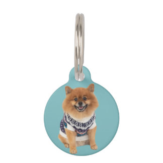 Poochie Dog Sweater | Pet ID Tag