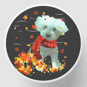 Poochon Fall Scarf - Dogs Autumn Leaves Mini Candle Favors