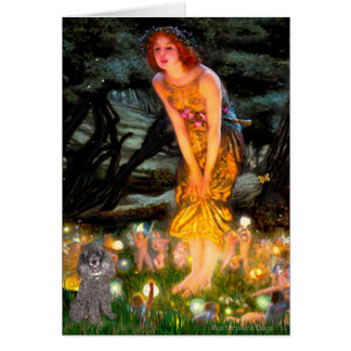 Poodle (8S) - MidEve Cards
