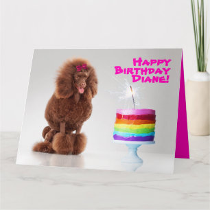 Poodle and Rainbow Cake with Sparkler Birthday Card