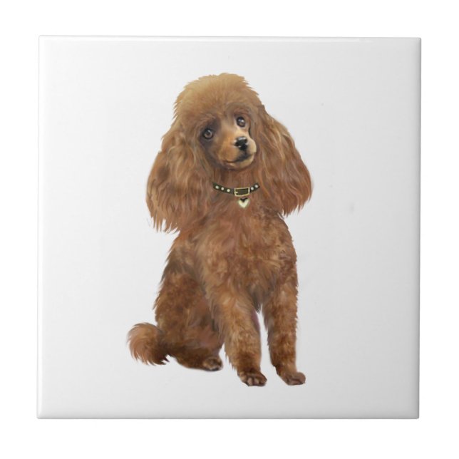 Poodle - Apricot Ceramic Tile (Front)