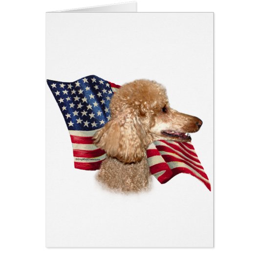 Poodle (apricot) Flag Cards (Front)