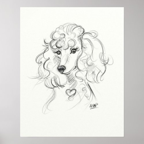 Poodle Art Print  Sketch Art