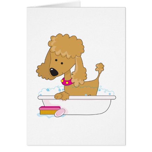 Poodle Bath (Front)