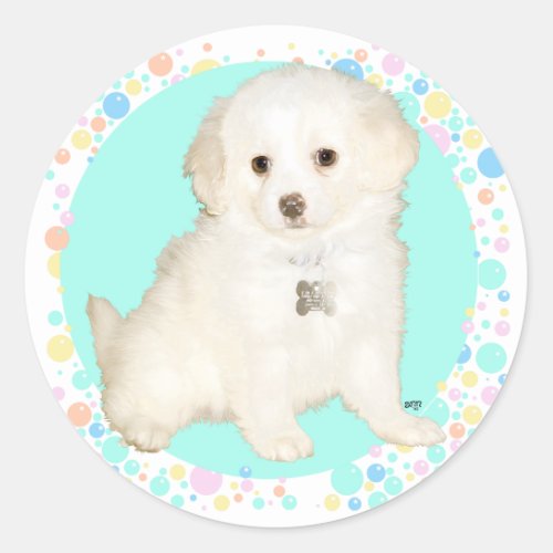 Poodle  Bichon Mix Puppy Celebrates Life Classic Round Sticker