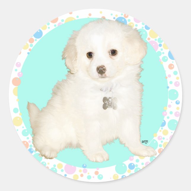 Poodle / Bichon Mix Puppy Celebrates Life Classic Round Sticker (Front)