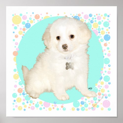 Poodle  Bichon Mix Puppy Celebrates Life Poster