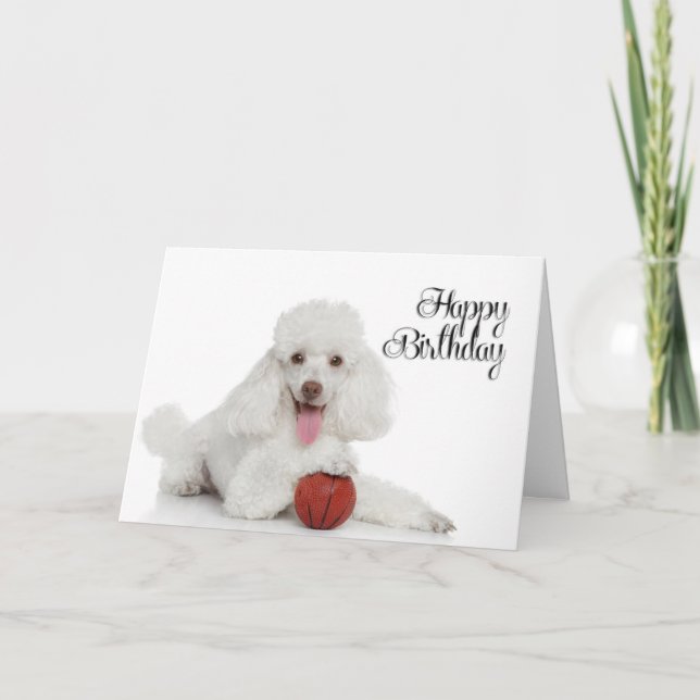 Poodle Birthday Card (Front)
