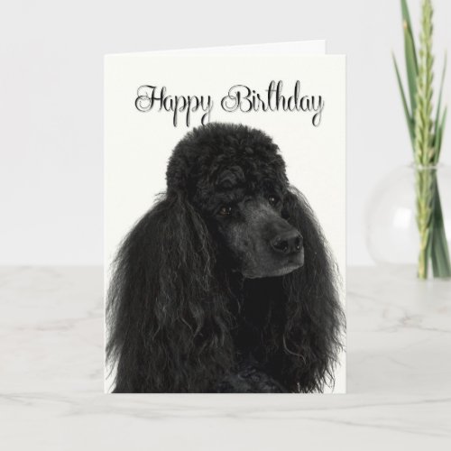 Poodle Birthday Card