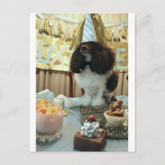 Poodle Birthday Postcard