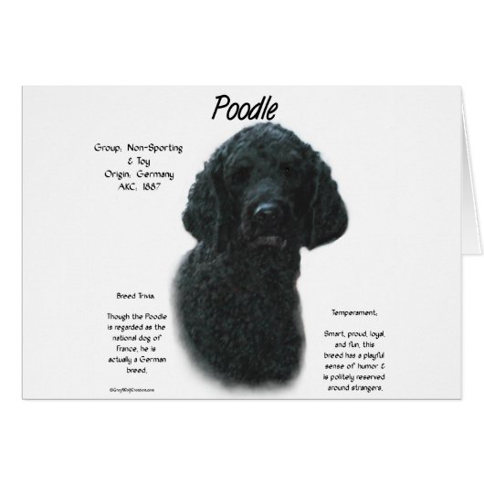 Poodle (blk) History Design Cards (Front Horizontal)