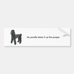 Poodle bumper sticker