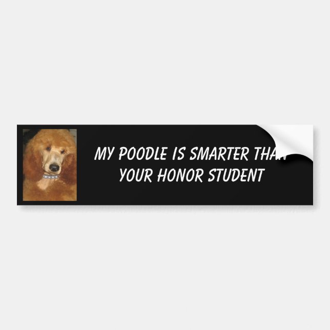 Poodle Bumper Sticker (Front)