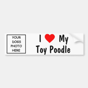 Poodle Bumper Sticker