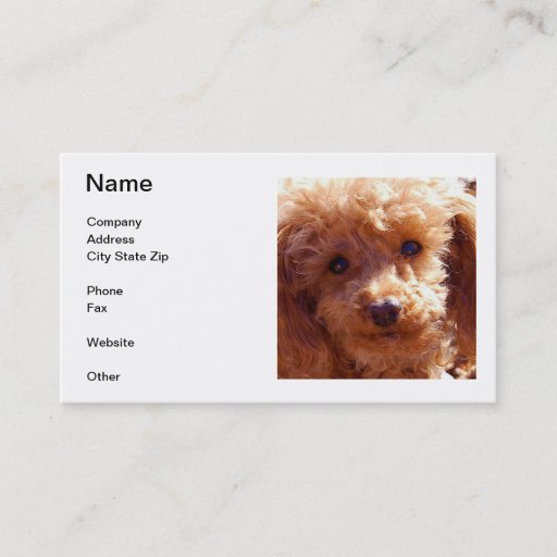 Customizable Poodle Business Cards