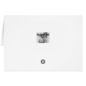 Poodle Cards (Back Horizontal)