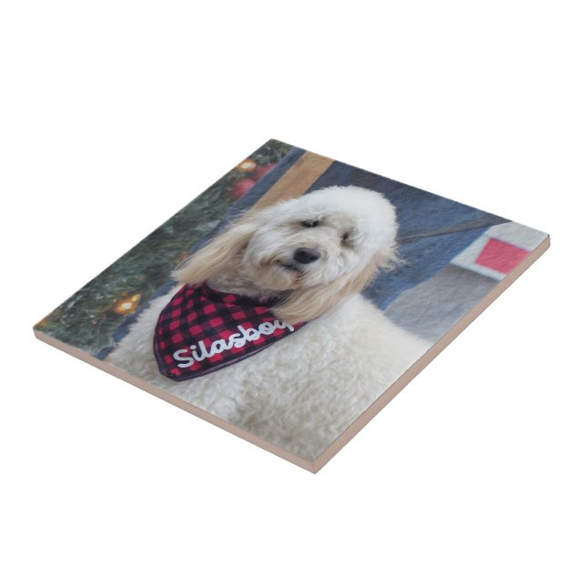 Poodle Ceramic Tile (Side)