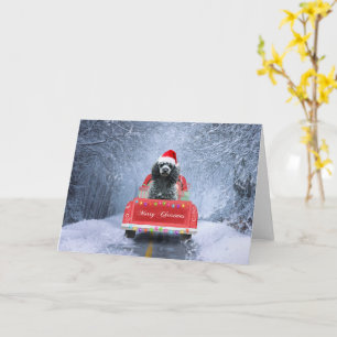 Poodle Christmas Card