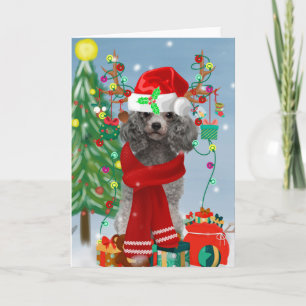 Poodle Christmas Card
