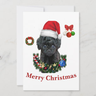 Poodle Christmas Invitation