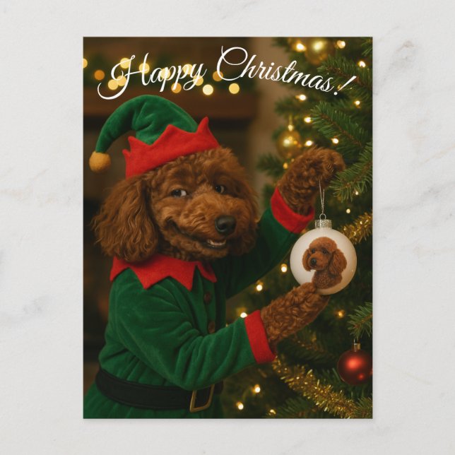 Poodle Christmas postcard (Front)
