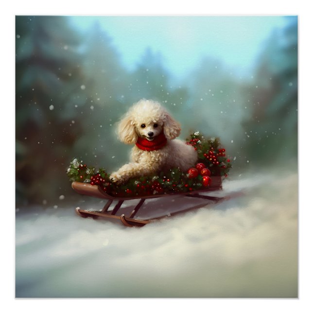Poodle Christmas snow winter  Poster (Front)