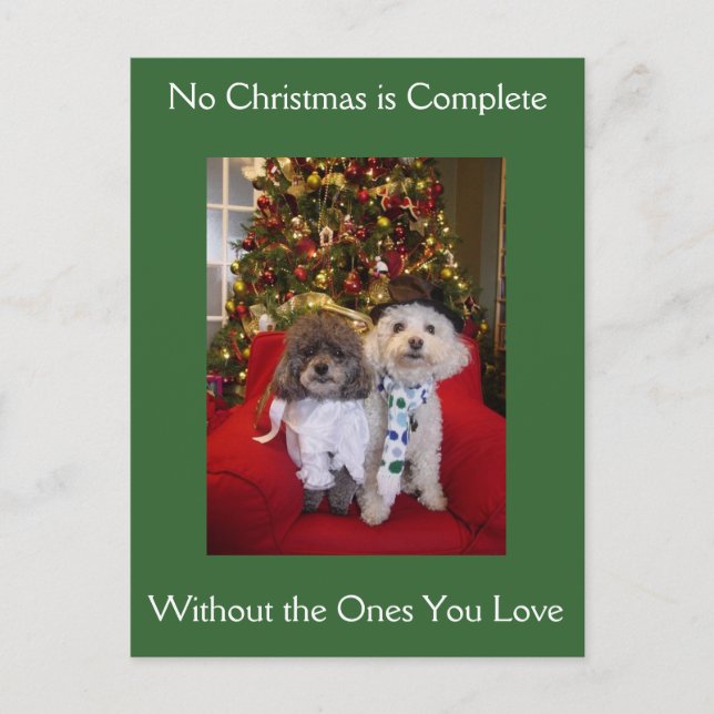 Poodle Christmas Wishes Holiday Postcard (Front)