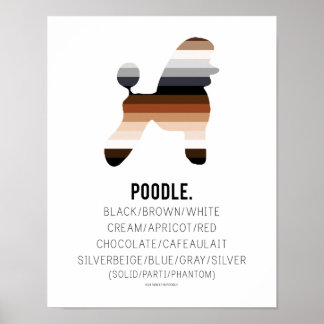 Poodle Colors Print by HUXSHOP