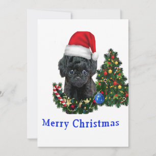 Poodle cute dog Christmas card