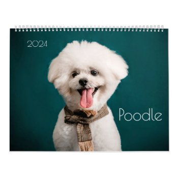 Poodle Cute Poodle Puppies 2024 Calendar by Differentcorners at Zazzle