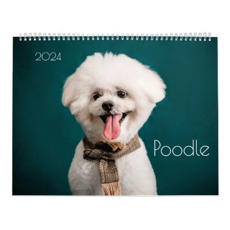 Poodle Cute Poodle Puppies 2024 Calendar