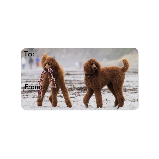 Poodle Day 2010 #10 Label (Front)