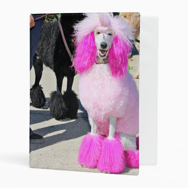 Poodle Day 2016 - Barnes - Pink Standard Poodle Mini Binder (Front/Inside)