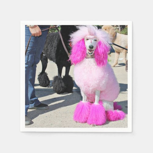 Poodle Day 2016 _ Barnes _ Pink Standard Poodle Napkins