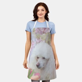Poodle Dog All Over Print Apron by ritmoboxer at Zazzle