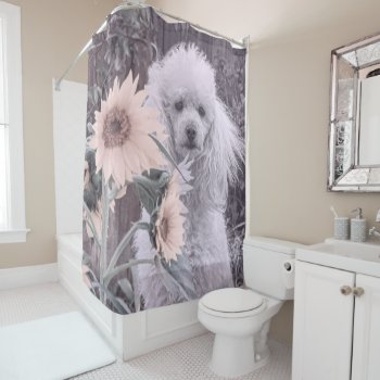 Poodle Dog And Sunflowers Shower Curtain by ritmoboxer at Zazzle