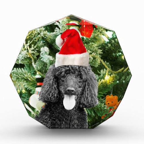 Poodle Dog Christmas Tree Snowman Red Santa Hat Award