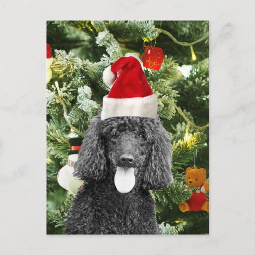 Poodle Dog Christmas Tree Snowman Red Santa Hat Holiday Postcard