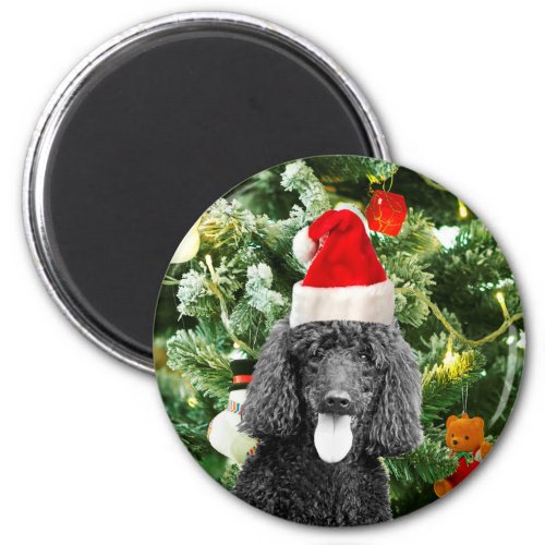Poodle Dog Christmas Tree Snowman Red Santa Hat Magnet