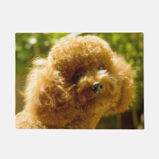 Poodle Dog. Doormat (Front)
