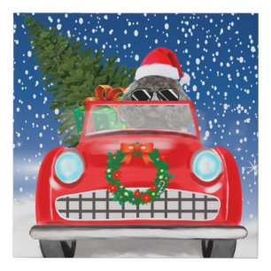 Poodle Dog Driving Car In Snow Christmas  Faux Canvas Print