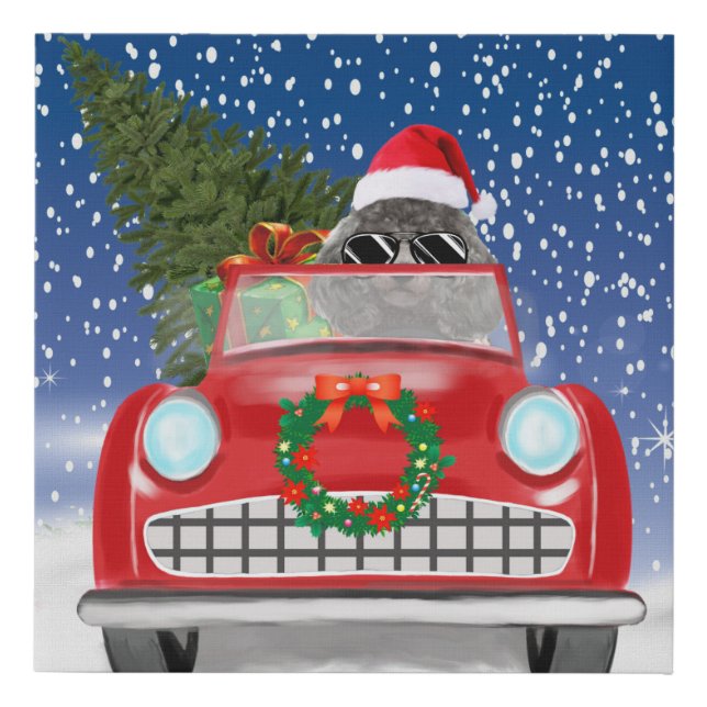 Poodle Dog Driving Car In Snow Christmas  Faux Canvas Print (Front)