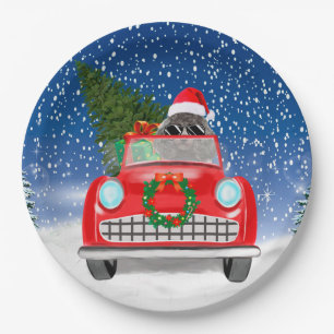 Poodle Dog Driving Car In Snow Christmas  Paper Plates