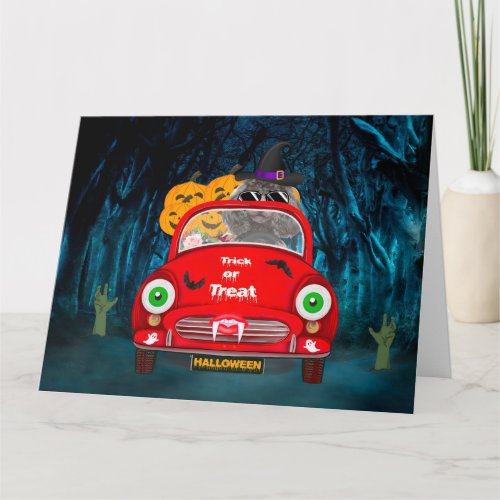 Poodle Dog Driving Car Scary Halloween Card