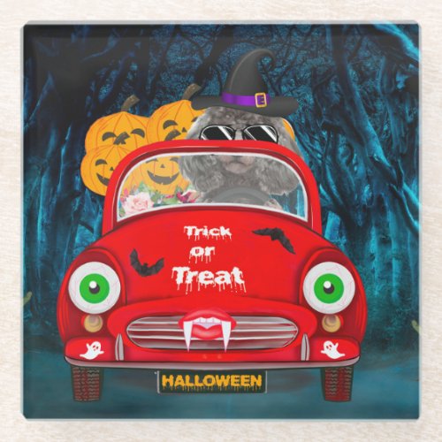 Poodle Dog Driving Car Scary Halloween Glass Coaster