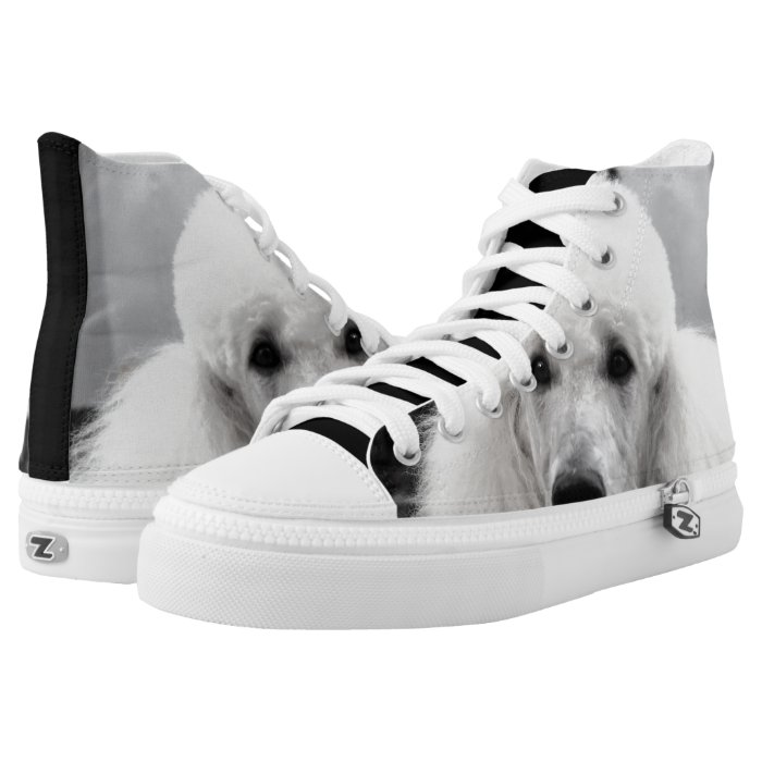 Poodle dog high top tennis shoes Zazzle