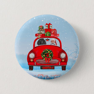 Poodle Dog In Car With Santa Claus Button