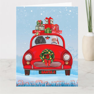 Poodle Dog In Car With Santa Claus Card