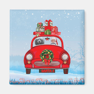 Poodle Dog In Car With Santa Claus Magnet