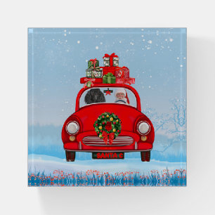 Poodle Dog In Car With Santa Claus Paperweight